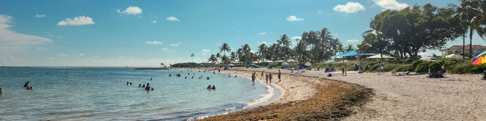 A sandy beach with palm trees, people swimming and sunbathing, clear blue sky, and gentle waves under the sun.