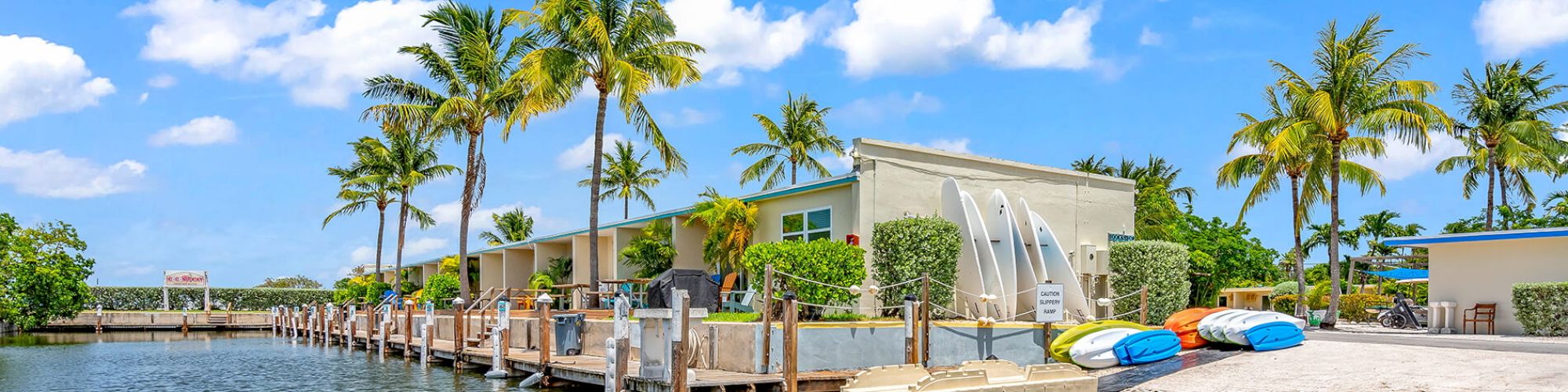 A waterfront scene with palm trees, a building, and colorful kayaks on a sunny day.