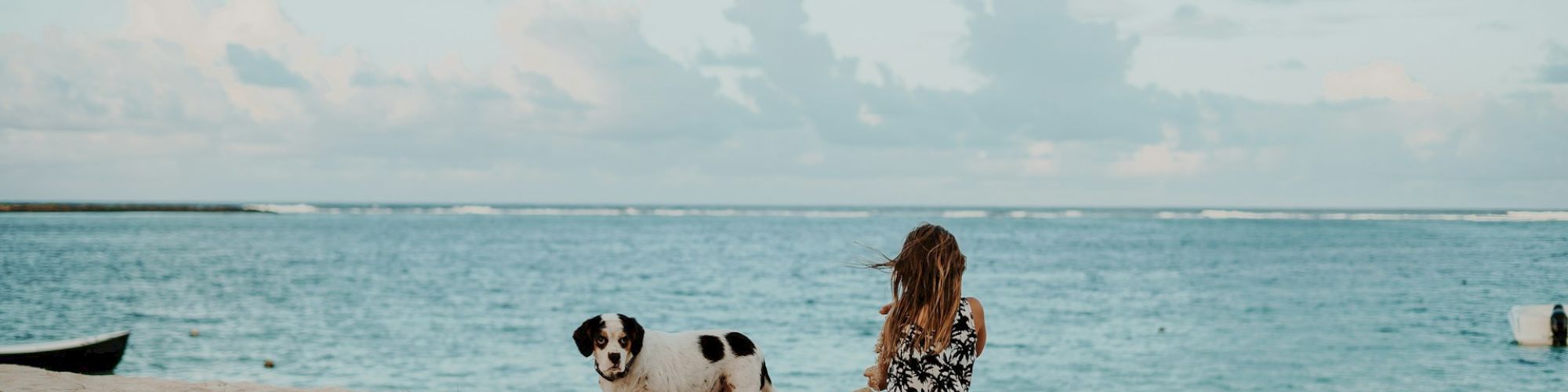 A person sits on a sandy beach facing the ocean with a dog nearby. The sky is cloudy, and there's a boat in the distant water.