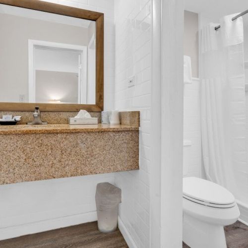 The image shows a clean, modern bathroom with a large mirror, a granite countertop, a toilet, and a shower with a curtain.