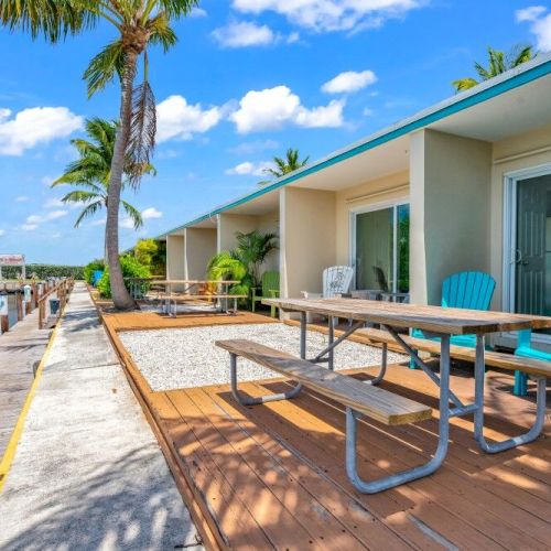 The image shows a waterfront patio with picnic tables, blue chairs, palm trees, and a bright, sunny sky, beside a dock.