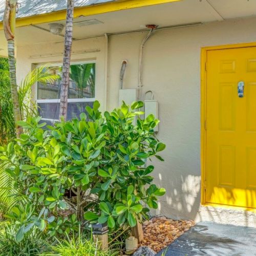 The image shows a small building with a bright yellow door, surrounded by lush green plants and palm trees.