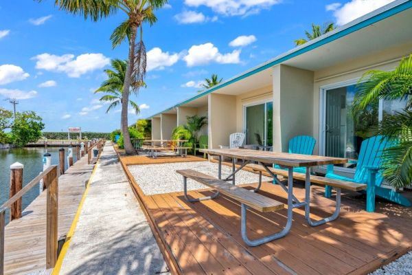 A waterfront patio with picnic tables, blue chairs, and palm trees under a bright blue sky by a dock.