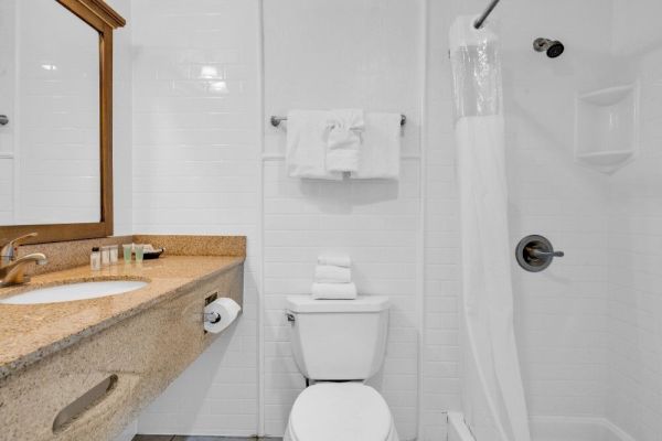 A clean bathroom with a sink, mirror, toilet, and shower curtain. Towels are neatly arranged on the rack and counter.