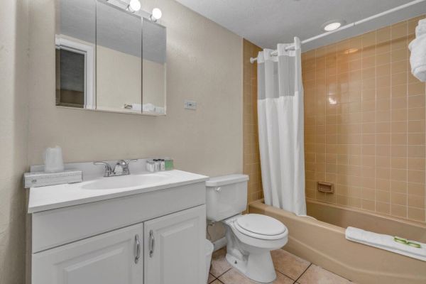 The image shows a bathroom with a sink, mirror, and toilet, and a bathtub with a shower curtain. The walls are light-colored.