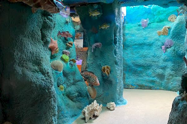 A hallway designed to look like an underwater scene with blue walls, marine animals, and corals for a themed experience.