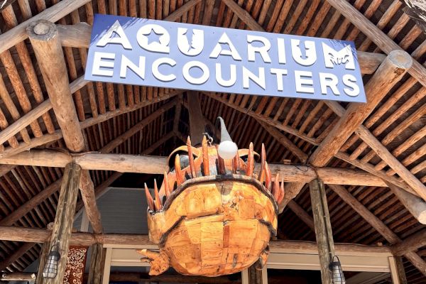 The image shows the entrance of a place called "Aquarium Encounters" with a wooden structure and a decorative fish hanging outside.