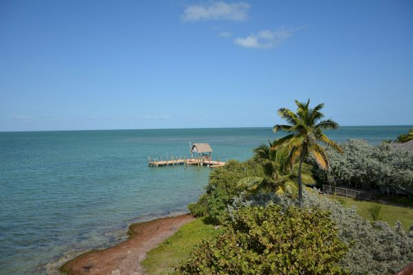 A serene coastal scene with a small dock, lush greenery, palm trees, and a clear blue sky above the calm sea waters.