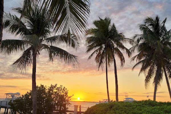 A tropical beach scene with palm trees, sand, and a vibrant sunset over the ocean, creating a serene and picturesque atmosphere.