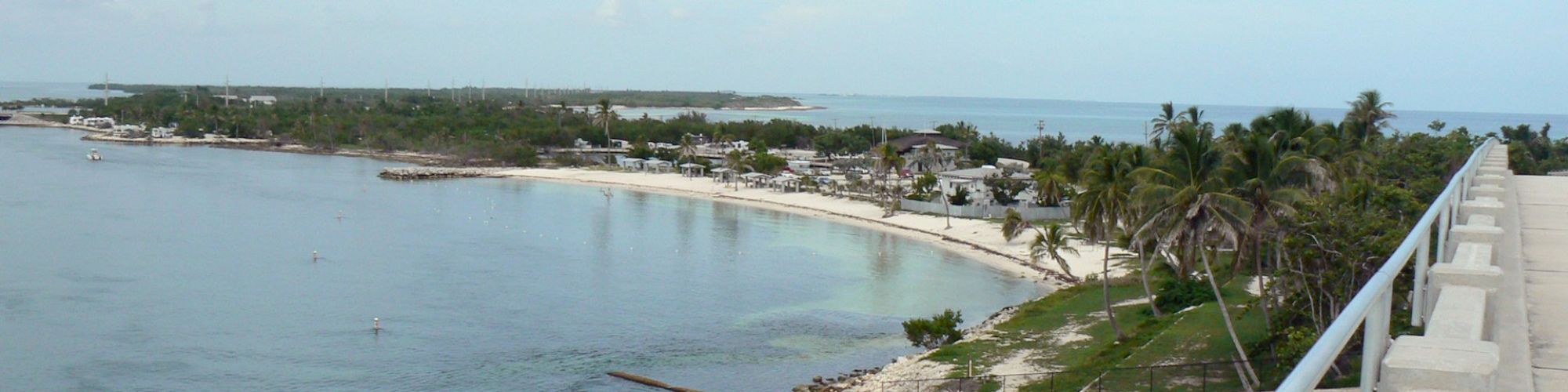 A coastal view from a bridge, with the ocean on one side and a shoreline lined with palm trees and buildings on the other.