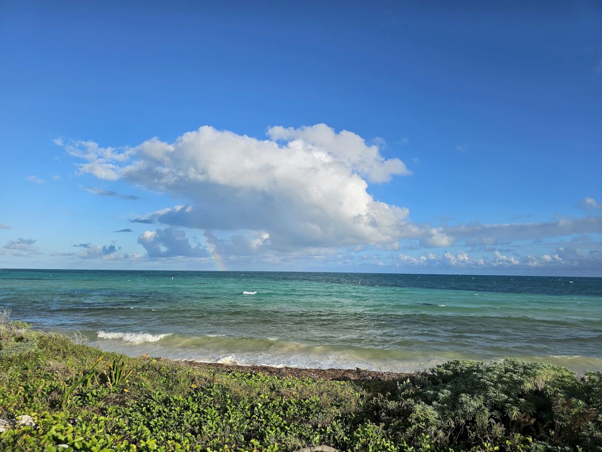 A serene beach scene with calm waves, clear blue sky, fluffy white clouds, and lush greenery in the foreground.